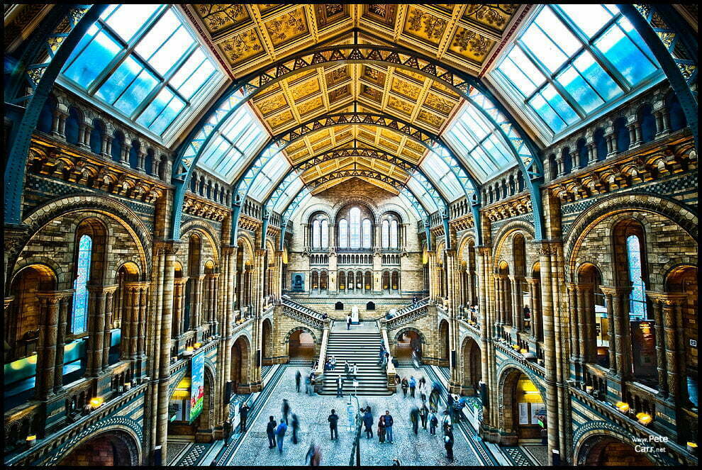Central Hall inside the Natural History Museum