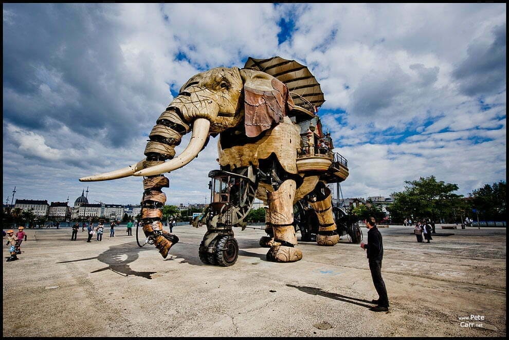 The Great Elephant – I