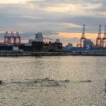 People swimming towards the starting point. On the left of the lake is Fort Perch Rock. Across the river are tall red cranes.