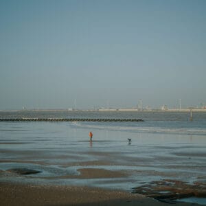 A person in an orange coat stands near the shoreline with a dog, while wind turbines and cranes are visible in the background along the coast. The beach has wet sand and gentle waves.
