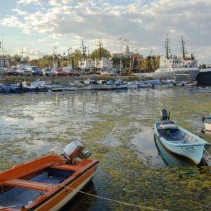A view of a harbour with several boats moored along the shore, surrounded by green algae in the water. In the background, vehicles are parked, and larger fishing vessels are docked. The sky is partly cloudy.