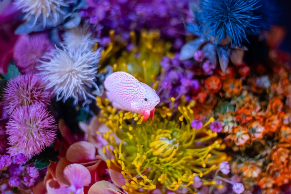 Close-up view of a pink fish figurine nestled among a vibrant array of dried flowers. The flowers exhibit diverse colors and textures, creating a visually rich composition.